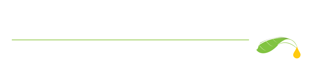 Buy AMBER TECHNOLOGY in Sarasota, FL from Holistic For Pets AMBER TECHNOLOGY Sarasota Florida
