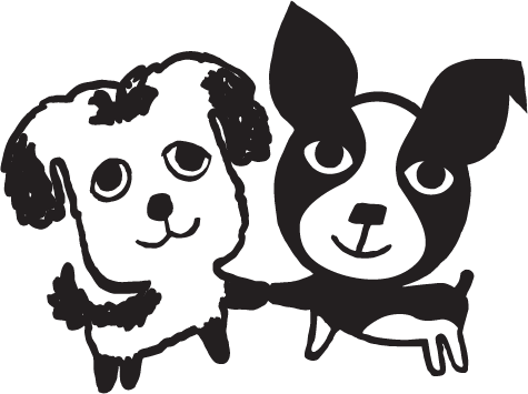 Buy The Bear and The Rat in Sarasota, FL from Holistic For Pets The Bear and The Rat Sarasota Florida