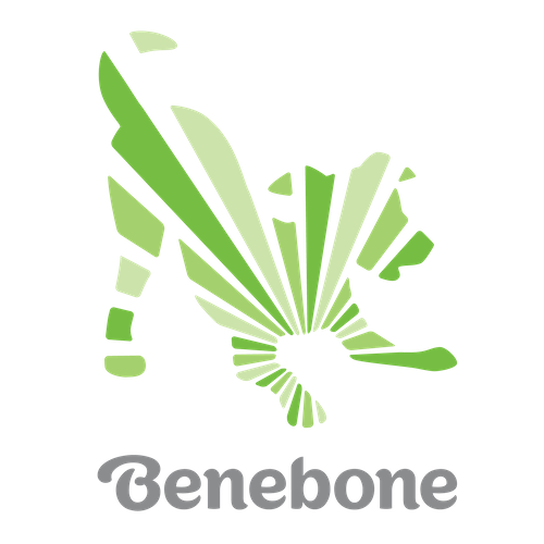 Buy Benebone in Sarasota, FL from Holistic For Pets Benebone Sarasota Florida